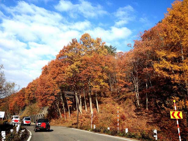 紅葉の写真です。